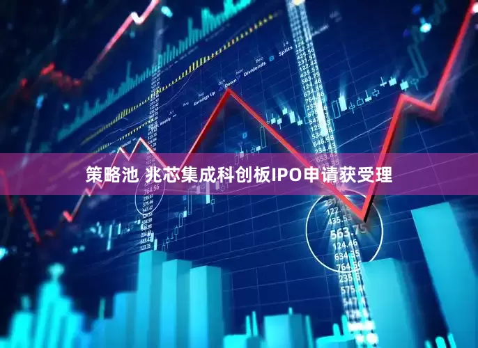 策略池 兆芯集成科创板IPO申请获受理