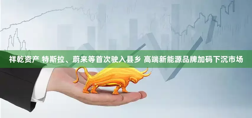 祥乾资产 特斯拉、蔚来等首次驶入县乡 高端新能源品牌加码下沉市场