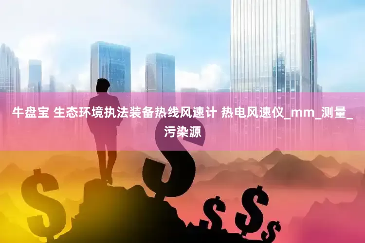 牛盘宝 生态环境执法装备热线风速计 热电风速仪_mm_测量_污染源