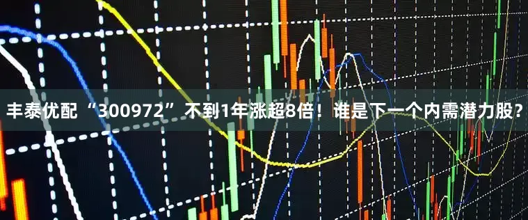 丰泰优配 “300972” 不到1年涨超8倍！谁是下一个内需潜力股？