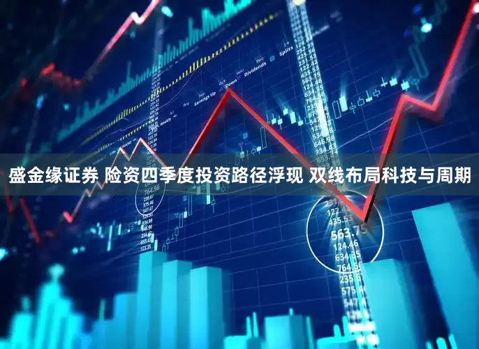 盛金缘证券 险资四季度投资路径浮现 双线布局科技与周期