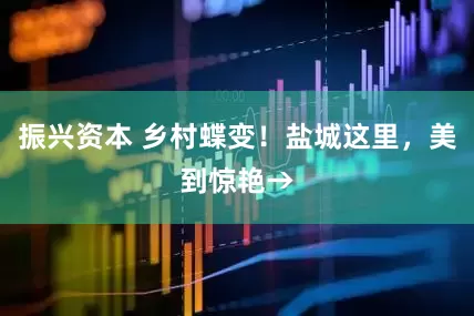 振兴资本 乡村蝶变！盐城这里，美到惊艳→